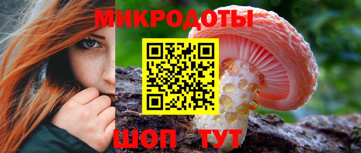 Галлюциногенные грибы прущие грибы Кузнецк