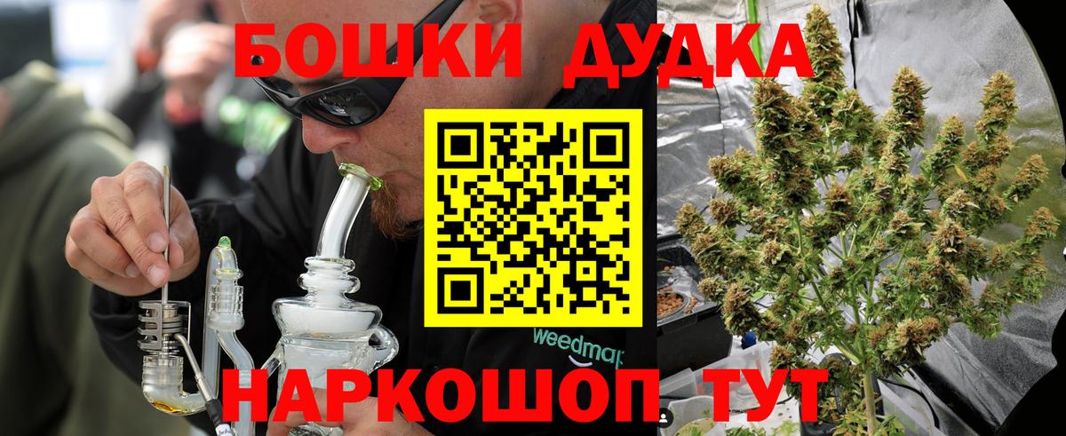 Конопля гибрид Кузнецк